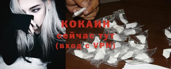 твердый Балахна