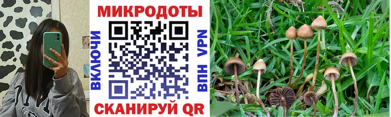 Псилоцибиновые грибы GOLDEN TEACHER где купить наркотик Ленинск